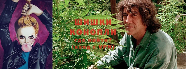 индика Баксан