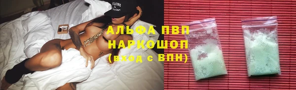 индика Баксан
