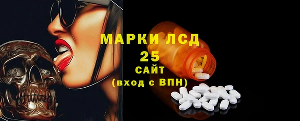 индика Баксан