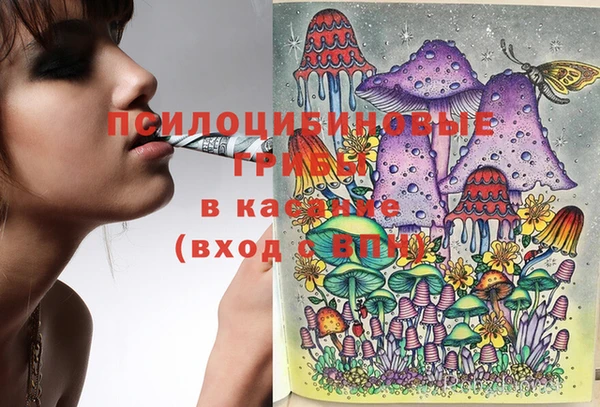 индика Баксан