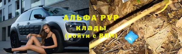 индика Баксан