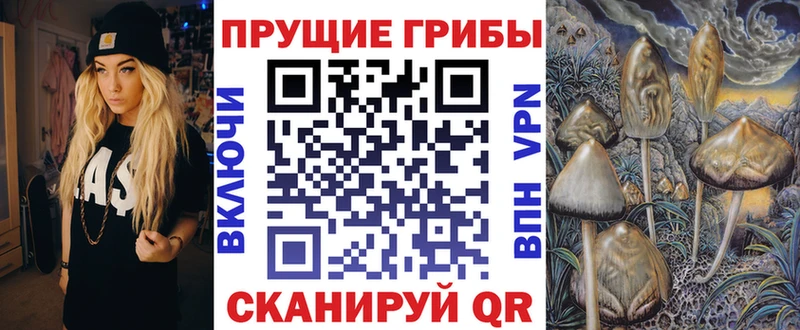 Псилоцибиновые грибы MAGIC MUSHROOMS мориарти официальный сайт Нерюнгри